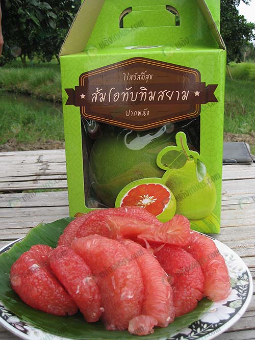 8.กล่องบรรจุภัณฑ์ของทางสวนสวัสดิ์สุข