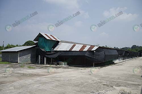 8.ลักษณะโรงเรือน