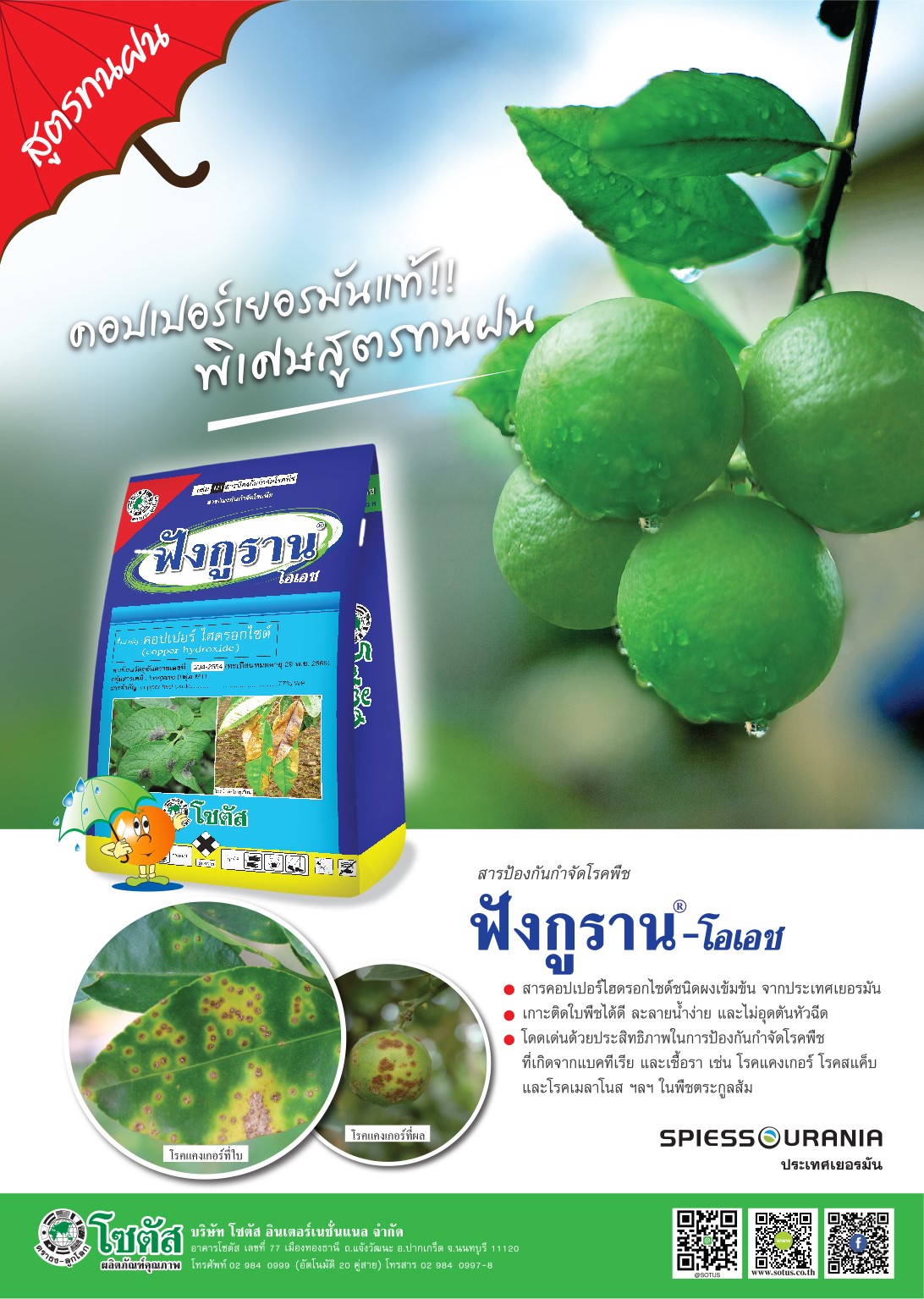 Advertisement-Banner-by-บริษัท-โซตัส-อินเตอร์เนชั่นแนล-จำกัด-www.sotus.co.th