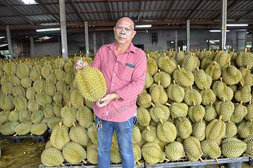 1.คุณรุ่งเรือง-บุญยิ่งเหลือ-เจ้าของแผงทุเรียนรุ่งเรือง