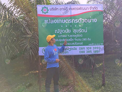 2.เกษตรกรต้นแบบด้านการจัดการสวนปาล์ม