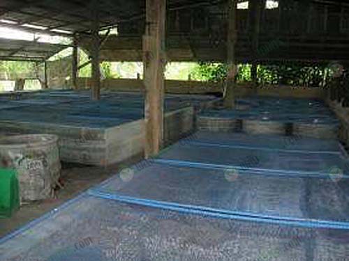 4.โรงเรือนเลี้ยงจิ้งหรีด