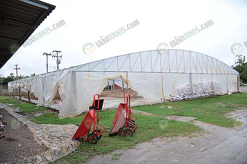 5.โรงเรือนตากมูลไก่ไข่