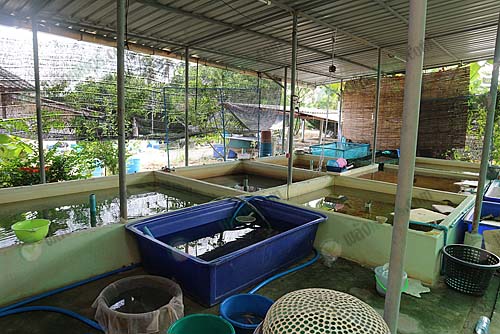 7.บ่อพักปลาพร้อมแพ็คส่งขาย