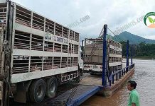 นักธุรกิจ ไทย-ลาว ทุ่มงบ 300 กว่าล้านบาท เปิด ฟาร์มหมู ใหญ่ที่สุดใน สปป.ลาว นักธุรกิจ ไทย-ลาว ทุ่มงบ 300 กว่าล้านบาท เปิด ฟาร์มหมู ใหญ่ที่สุดใน สปป.ลาว