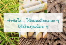 ทำยังไง…ให้ผลผลิตเยอะ ๆ ใช้เงินทุนน้อย ๆ ( เกษตรกรยุคใหม่ไม่ควรพลาดอย่างยิ่ง ) สยามคูโบต้า นวัตกรรมเครื่องมือเกษตร เครื่องจักรกลการเกษตรแบบไร้คนขับ นวัตกรรมที่ใช้สำหรับเกษตรแม่นยำสูง ระบบข้อมูล Big Data ระบบ GPS คูโบต้า เครื่องจักรกลการเกษตร แทรกเตอร์ รถเกี่ยวนวดข้าว รถดำนา สยามคูโบต้า 1