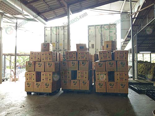 ทุเรียนทื่บรรจุเรียบร้อยแล้ว