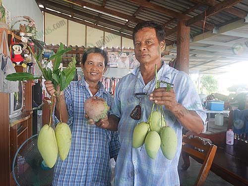 2.คุณสำราญ-นกแก้วและภรรยา
