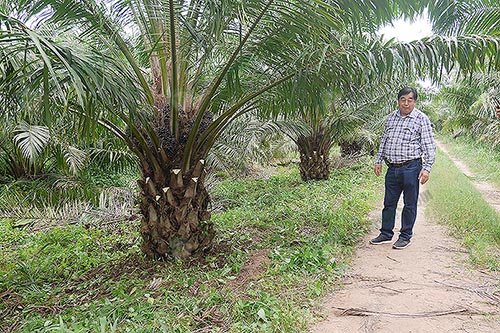 3.คุณวิสันต์-สินธุนนท์-เกษตรกรดีเด่นภาคใต้ปี-2540