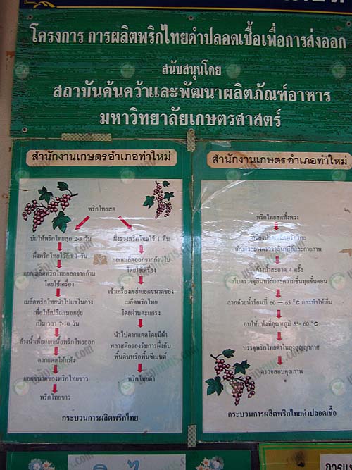 3.โครงการผลิตพริกไทยดำปลอดเชื้อ