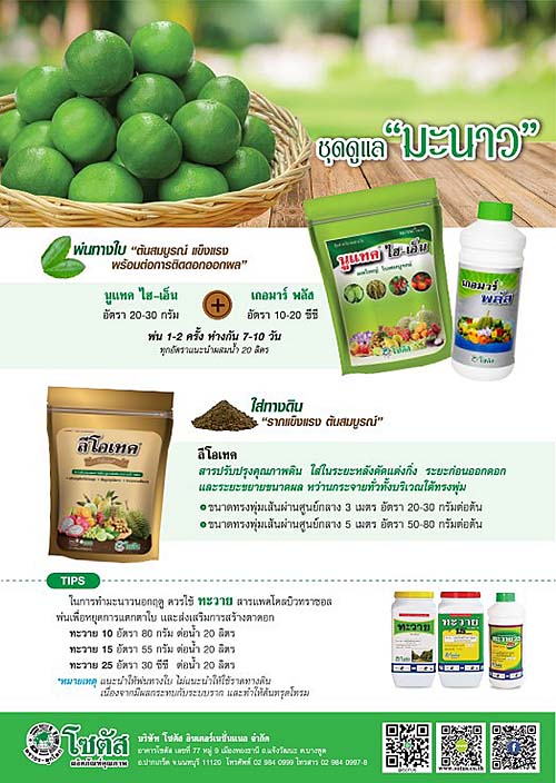 Advertisement Banner by บริษัท โซตัส อินเตอร์เนชั่นแนล จำกัด www.sotus.co.th