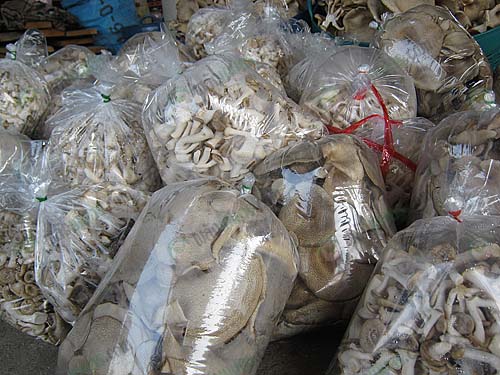 ผลผลิตเห็ดแต่ละชนิดจากฟาร์มและรับซื้อจากเกษตรกรส่งตลาดด้วย
