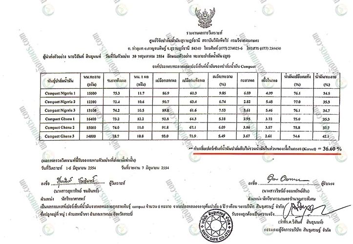 ผลวิเคราะห์เปอร์เซ็นต์น้ำมันทะลายปาล์มสายพันธุ์คอมแพคท์