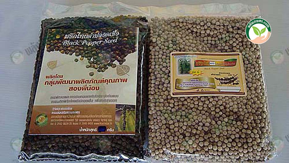 ผลิตภัณฑ์พริกไทยดำและพริกไทยขาวปลอดเชื้อ สดจาก สวนพริกไทย