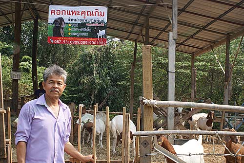 2.คุณสาโรช-สโมสรสุข-เจ้าของฟาร์มแพะคอกคุณกิม