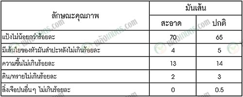 2.ลักษณะคุณภาพของมันเส้น