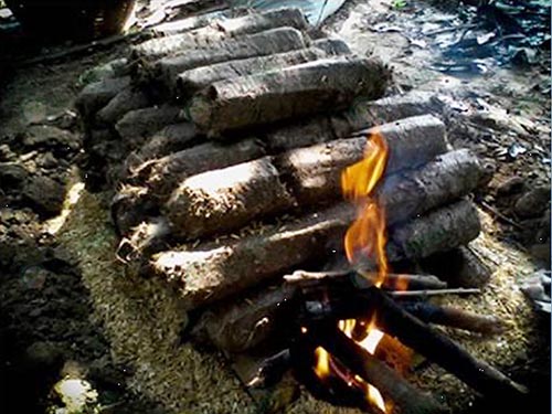 3.การผลิตผักตบชวาเป็นพลังงานเพื่อใช้ในครัวเรือนได้ดี