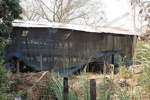 4.โรงเรือนแพะ