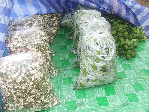 5.ขายได้ทั้งผิวมะกรูดแห้ง-ลูกมะกรูดสด-ใบมะกรูด