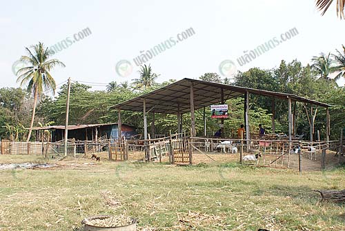 8.คอกแพะ
