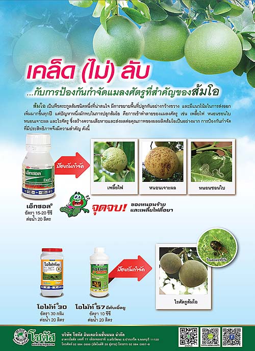 Advertisement-Banner-by-บริษัท-โซตัส-อินเตอร์เนชั่นแนล-จำกัด-www.sotus.co.th
