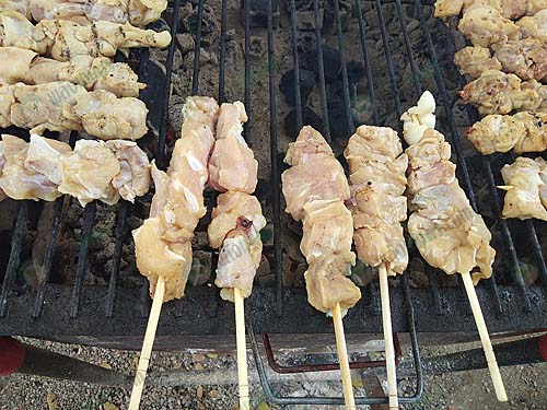 เนื้อจระเข้ย่าง