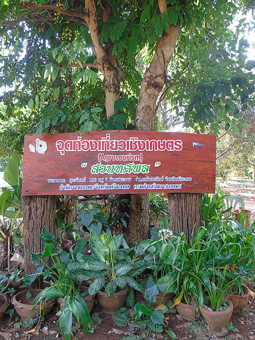 1.-จุดท่องเที่ยวเชิงเกษตร-สวนทศพล