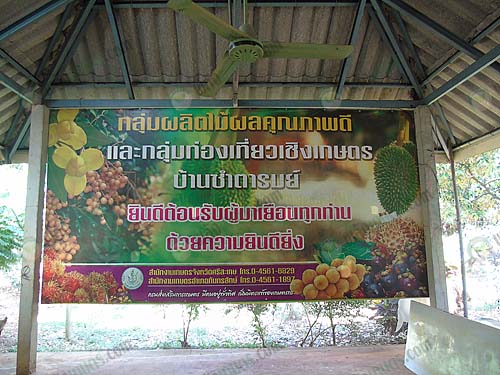 10.กลุ่มผู้ผลิตไม้ผลคุณภาพดีและกลุ่มท่องเที่ยวเชิงเกษตร-บ้านซำตารมย์
