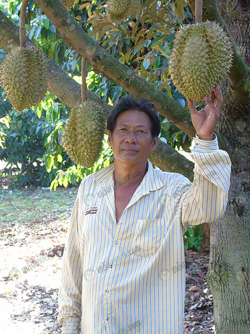 2.คุณทศพล-สุวะจันทร์-เจ้าของสวนทศพล