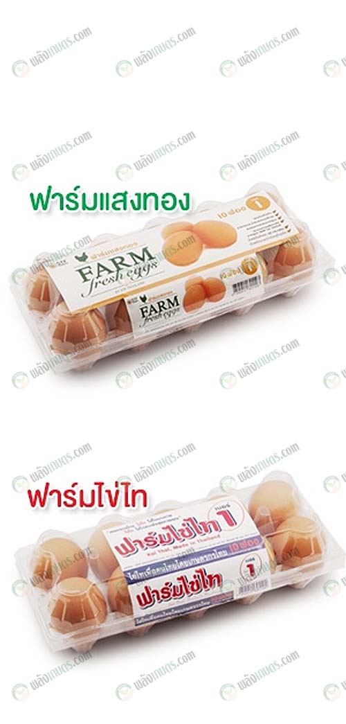 7.ผลิตภัณฑ์ไข่ไก่สด