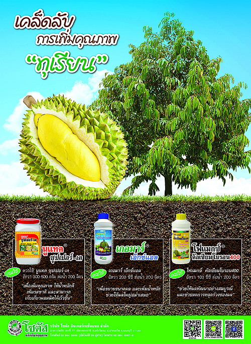 Advertisement-Banner-by-บริษัท-โซตัส-อินเตอร์เนชั่นแนล-จำกัด-www.sotus.co.th