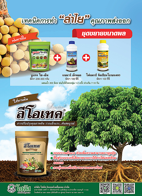 Advertisement-Banner-by-บริษัท-โซตัส-อินเตอร์เนชั่นแนล-จำกัด-www.sotus.co.th