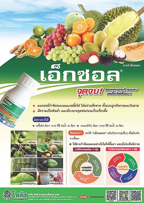 Advertisement-Banner-by-บริษัท-โซตัส-อินเตอร์เนชั่นแนล-จำกัด-www.sotus.co.th