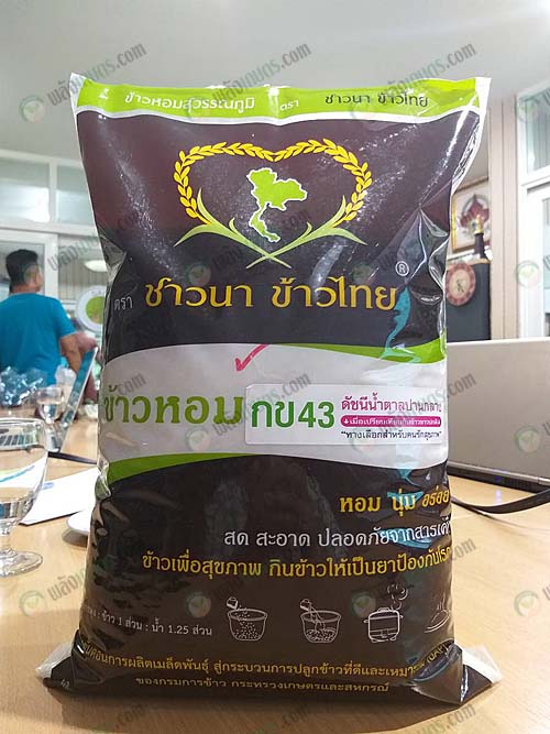 ข้าวหอม-กข43