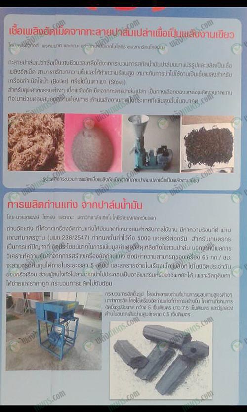 3.การแปรรูปจากปาล์มน้ำมัน