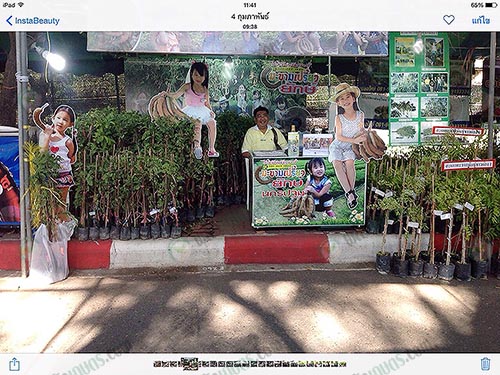 5.ตั้งหน้าร้านขายสินค้าแปรรูปและต้นกล้า