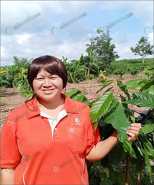 6.คุณสุพัตรา