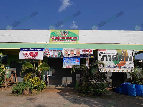 6.ร้านเคมีเกษตรภายในแปลงเพาะ