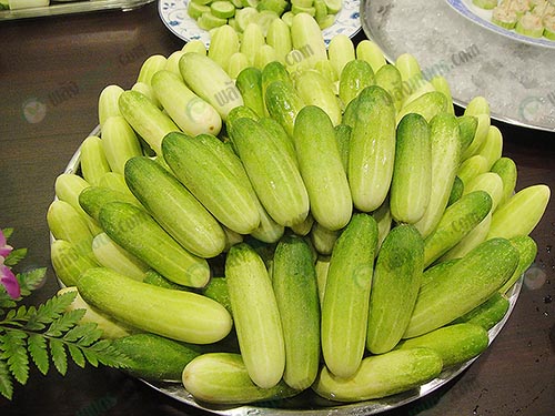 7.ผลผลิตแตงกวาไฮโซ