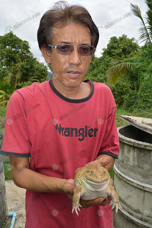 1.คุณจักรกฤษณ์-กลิ่นสุคนธ์-กับแม่พันธุ์กบ