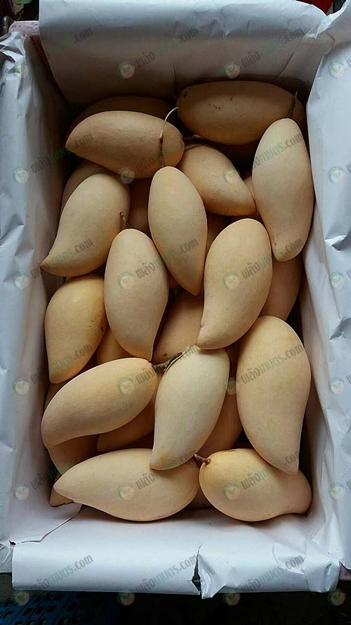 1.ผลผลิตคุณภาพตรงตามความต้องการของตลาด