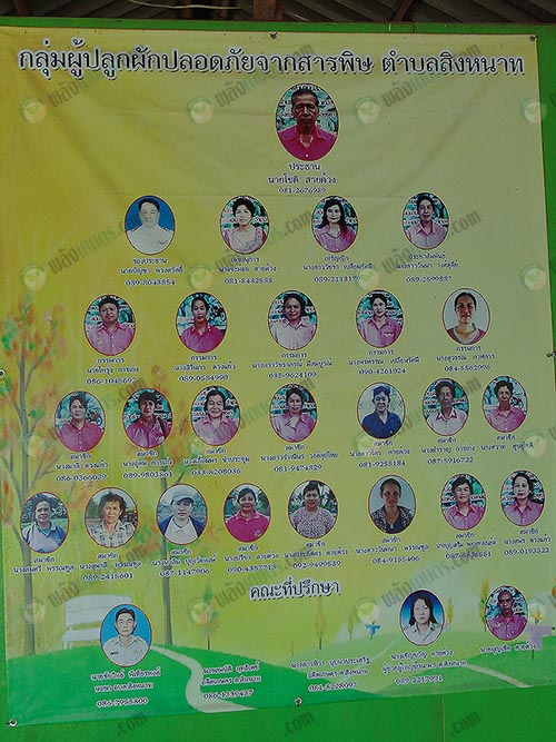 1.รายชื่อกลุ่มผู้ปลูกผักปลอดภัยจากสารพิษ-ตำบล-สิงหนาท