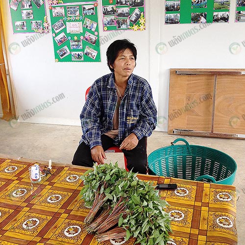 3.คุณชะม้อย-สายด้วง-เลขานุการ-กลุ่มผู้ปลูกผักปลอดภัยจากสารพิษ-ตำบลสิงหนาท