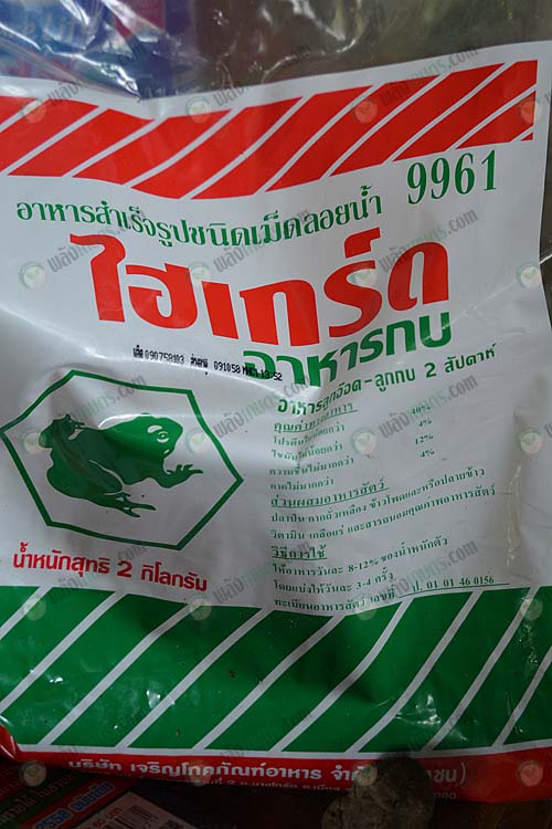 3.อาหารที่ใช้ปั้นก้อนอนุบาลลูกอ๊อด