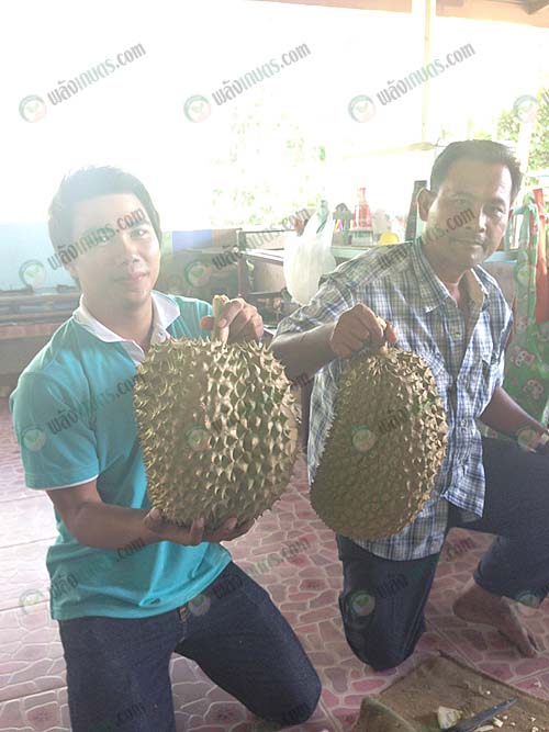 5.ผลผลิตที่ได้ตรงตามความต้องการของตลาด