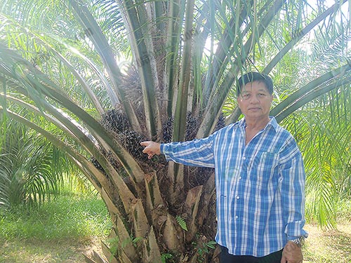 1.คุณบุญช่วย-บำรุงสุข-ผู้ใหญ่ดำ