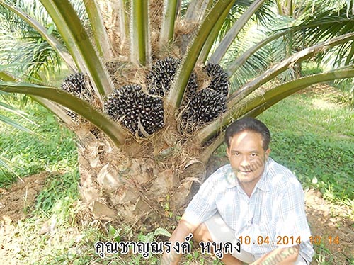 2.คุณชาญณรงค์-หนูคง