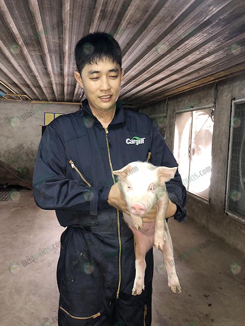 2.คุณธนัชกับลูกหมูสุขภาพแข็งแรง