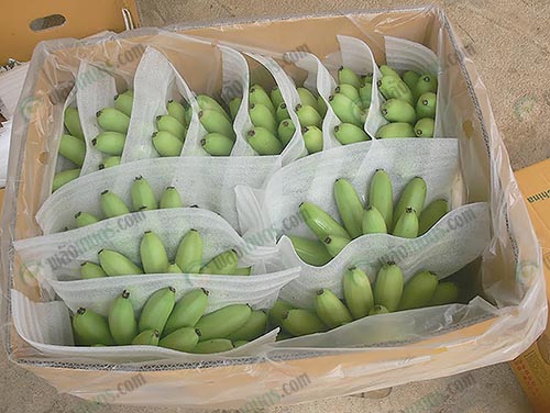 3.แพ็คกล้วยไข่ลงกล่อง