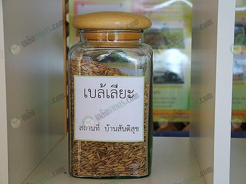 4.ข้าวเบล้เลียะเป็นข้าวที่ปลูกได้เฉพาะบนเขา-ได้มาจากการไปให้ความรู้กับชาวเขา